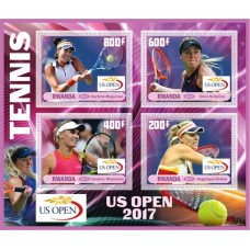 Спорт Открытый чемпионат США по теннису 2017